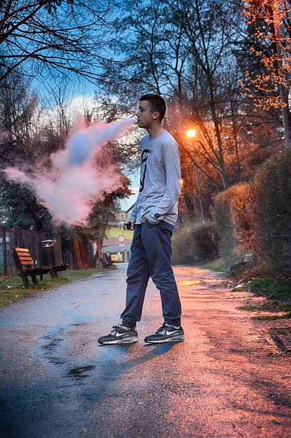 vape starter kit