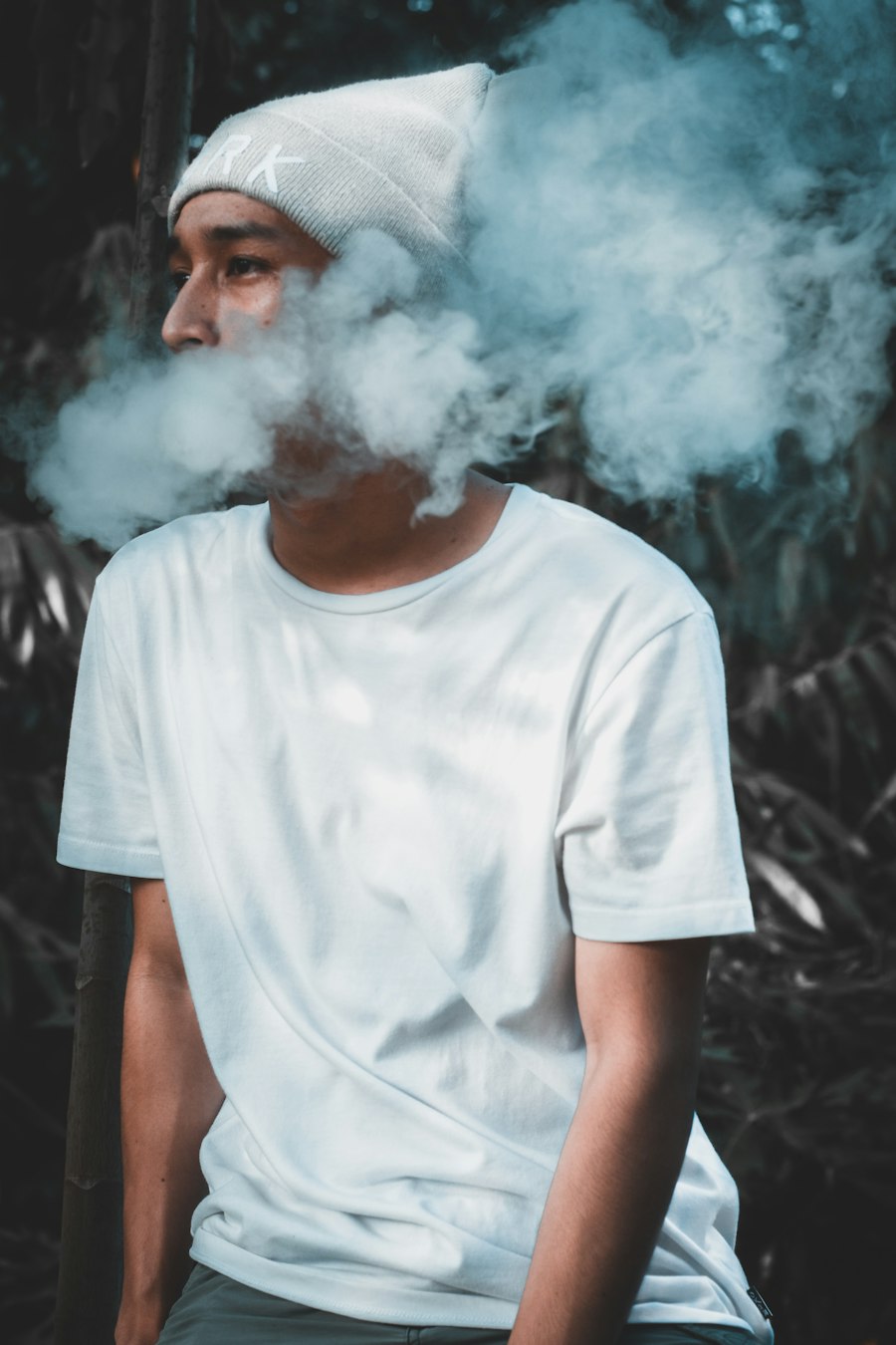 vape pen